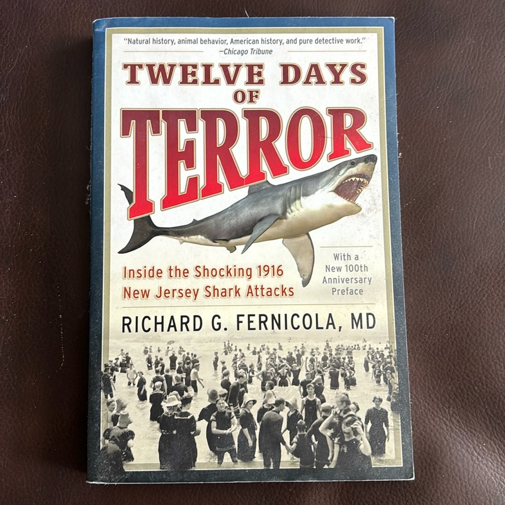 Twelve Days of Terror book.   Like New